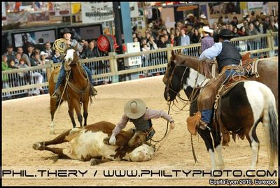 animation western cowboy et vache equita lyon eurexpo lyon  credit photo philippe thery