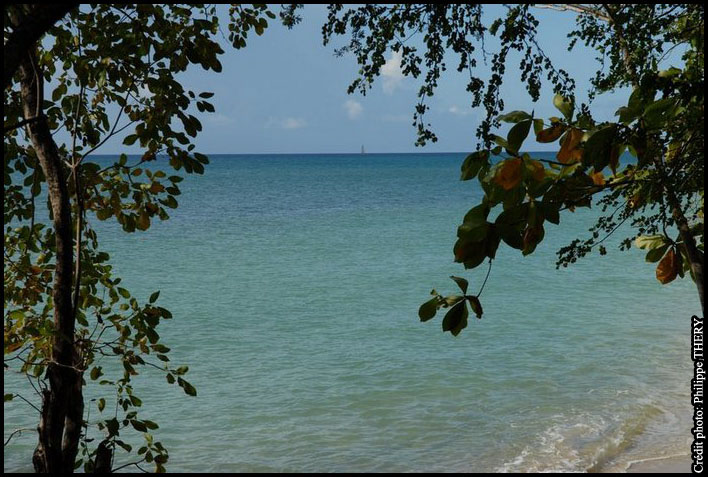 plage Martinique